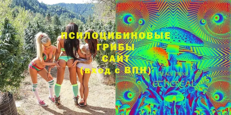 Галлюциногенные грибы Cubensis Олонец